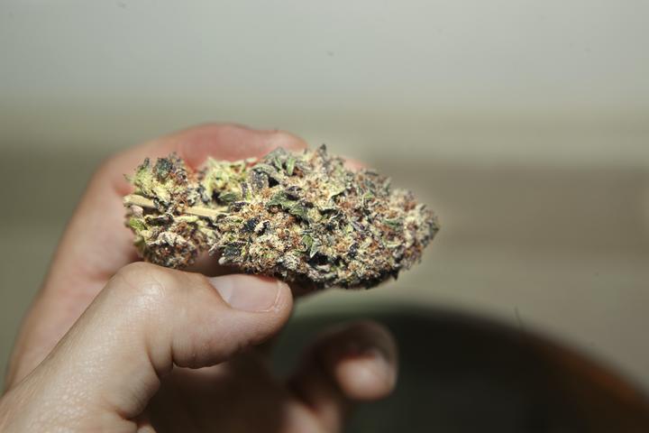 My cannabis Obsession